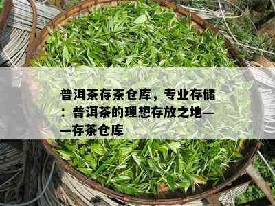 普洱茶存茶仓库，专业存储：普洱茶的理想存放之地——存茶仓库