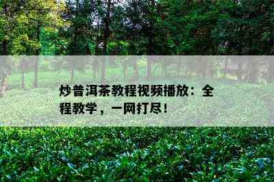 炒普洱茶教程视频播放：全程教学，一网打尽！