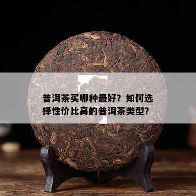 普洱茶买哪种更好？如何选择性价比高的普洱茶类型？