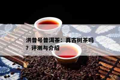 洪普号普洱茶：真古树茶吗？评测与介绍