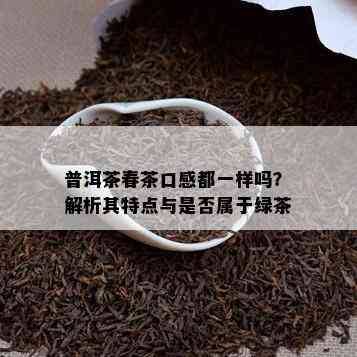 普洱茶春茶口感都一样吗？解析其特点与是否属于绿茶