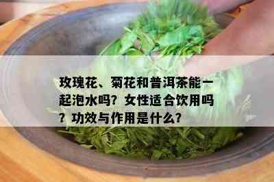 玫瑰花、菊花和普洱茶能一起泡水吗？女性适合饮用吗？功效与作用是什么？