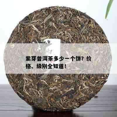 紫芽普洱茶多少一个饼？价格、级别全知道！