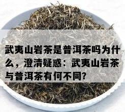 武夷山岩茶是普洱茶吗为什么，澄清疑惑：武夷山岩茶与普洱茶有何不同？