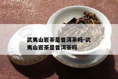 武夷山岩茶是普洱茶吗-武夷山岩茶是普洱茶吗