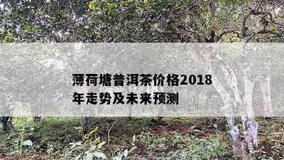 薄荷塘普洱茶价格2018年走势及未来预测