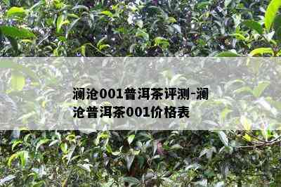 澜沧001普洱茶评测-澜沧普洱茶001价格表