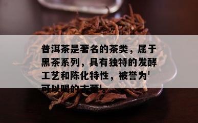 普洱茶是著名的茶类，属于黑茶系列，具有独特的发酵工艺和陈化特性，被誉为'可以喝的古董'。