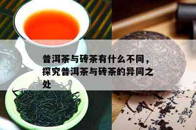 普洱茶与砖茶有什么不同，探究普洱茶与砖茶的异同之处