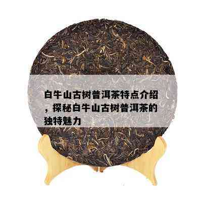 白牛山古树普洱茶特点介绍，探秘白牛山古树普洱茶的独特魅力