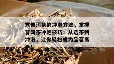 煮普洱茶的冲泡方法，掌握普洱茶冲泡技巧：从选茶到冲泡，让你轻松成为品茗高手！