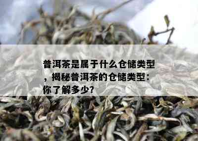 普洱茶是属于什么仓储类型，揭秘普洱茶的仓储类型：你了解多少？