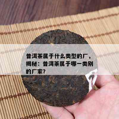 普洱茶属于什么类型的厂，揭秘：普洱茶属于哪一类别的厂家？