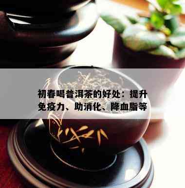 初春喝普洱茶的好处：提升免疫力、助消化、降血脂等