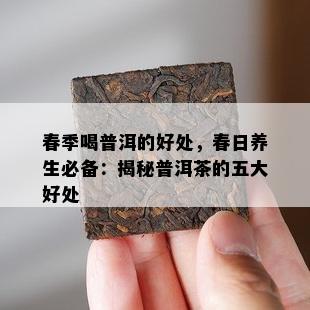 春季喝普洱的好处，春日养生必备：揭秘普洱茶的五大好处