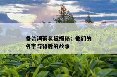 各普洱茶老板揭秘：他们的名字与背后的故事