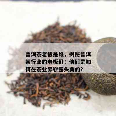 普洱茶老板是谁，揭秘普洱茶行业的老板们：他们是如何在茶业界崭露头角的？