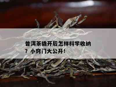 普洱茶撬开后怎样科学收纳？小窍门大公开！