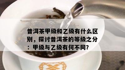 普洱茶甲级和乙级有什么区别，探讨普洱茶的等级之分：甲级与乙级有何不同？