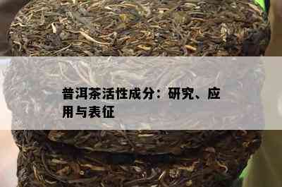 普洱茶活性成分：研究、应用与表征