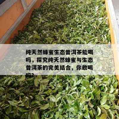 纯天然蜂蜜生态普洱茶能喝吗，探究纯天然蜂蜜与生态普洱茶的完美结合，你敢喝吗？