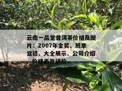 云南一品堂普洱茶价格及图片：2007年金奖、班章宫廷、大全展示、公司介绍、价格表及评价