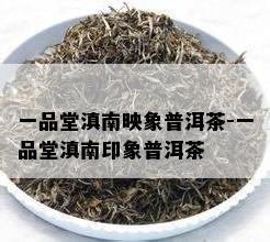 一品堂滇南映象普洱茶-一品堂滇南印象普洱茶