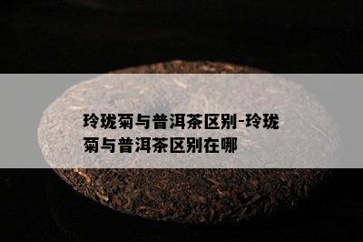 玲珑菊与普洱茶区别-玲珑菊与普洱茶区别在哪