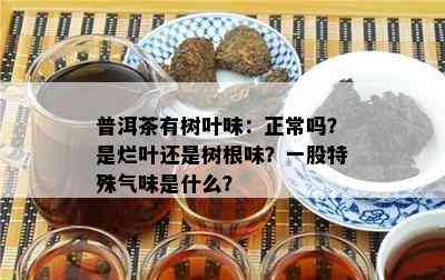 普洱茶有树叶味：正常吗？是烂叶还是树根味？一股特殊气味是什么？