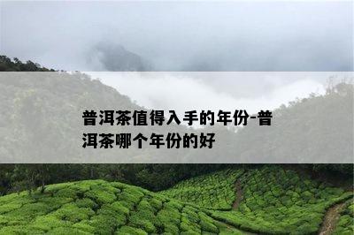 普洱茶值得入手的年份-普洱茶哪个年份的好