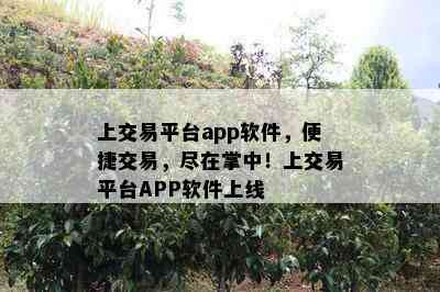 上交易平台app软件，便捷交易，尽在掌中！上交易平台APP软件上线