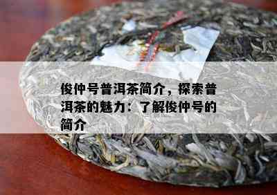 俊仲号普洱茶简介，探索普洱茶的魅力：了解俊仲号的简介