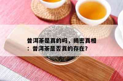 普洱茶是真的吗，揭密真相：普洱茶是否真的存在？