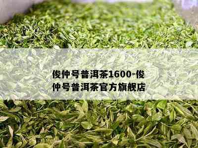 俊仲号普洱茶1600-俊仲号普洱茶官方旗舰店