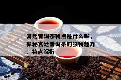 宫廷普洱茶特点是什么呢，探秘宫廷普洱茶的独特魅力：特点解析