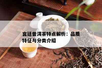 宫廷普洱茶特点解析：品质特征与分类介绍