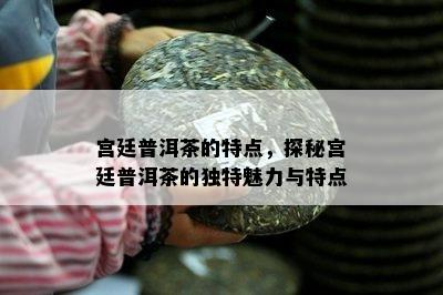 宫廷普洱茶的特点，探秘宫廷普洱茶的独特魅力与特点