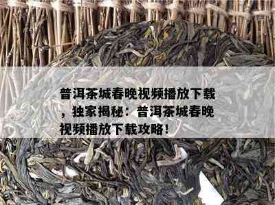 普洱茶城春晚视频播放下载，独家揭秘：普洱茶城春晚视频播放下载攻略！