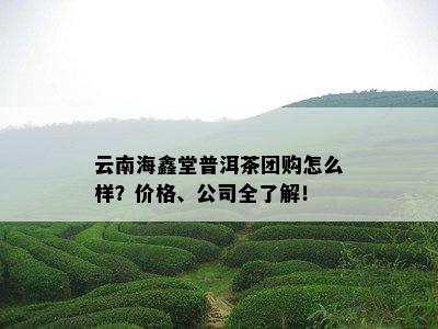 云南海鑫堂普洱茶团购怎么样？价格、公司全了解！