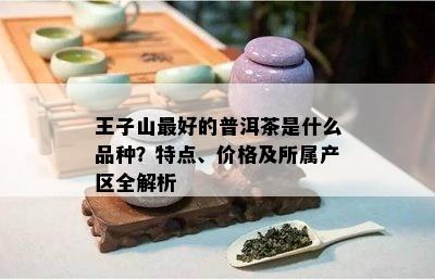 王子山更好的普洱茶是什么品种？特点、价格及所属产区全解析