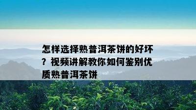 怎样选择熟普洱茶饼的好坏？视频讲解教你如何鉴别优质熟普洱茶饼