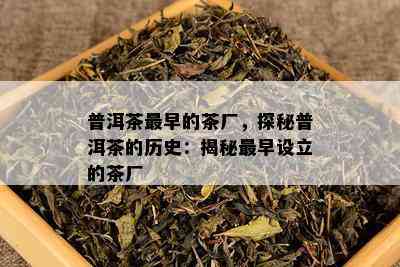 普洱茶最早的茶厂，探秘普洱茶的历史：揭秘最早设立的茶厂