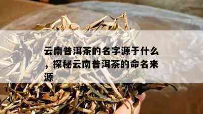 云南普洱茶的名字源于什么，探秘云南普洱茶的命名来源