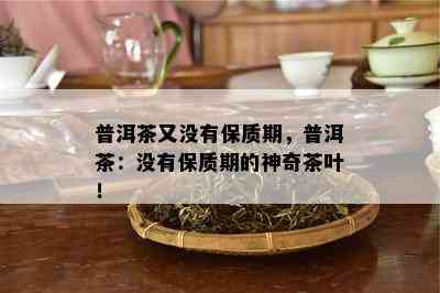 普洱茶又没有保质期，普洱茶：没有保质期的神奇茶叶！