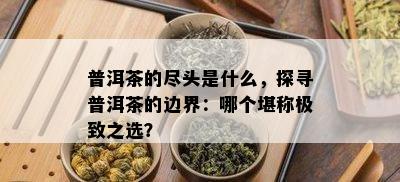 普洱茶的尽头是什么，探寻普洱茶的边界：哪个堪称极致之选？