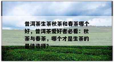 普洱茶生茶秋茶和春茶哪个好，普洱茶爱好者必看：秋茶与春茶，哪个才是生茶的更佳选择？