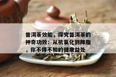 普洱茶效能，探究普洱茶的神奇功效：从抗氧化到降脂，你不得不知的健康益处