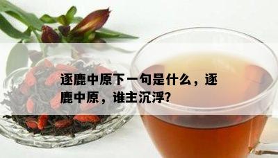 逐鹿中原下一句是什么，逐鹿中原，谁主沉浮？