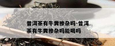 普洱茶有牛粪掺杂吗-普洱茶有牛粪掺杂吗能喝吗