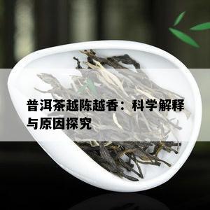 普洱茶越陈越香：科学解释与原因探究